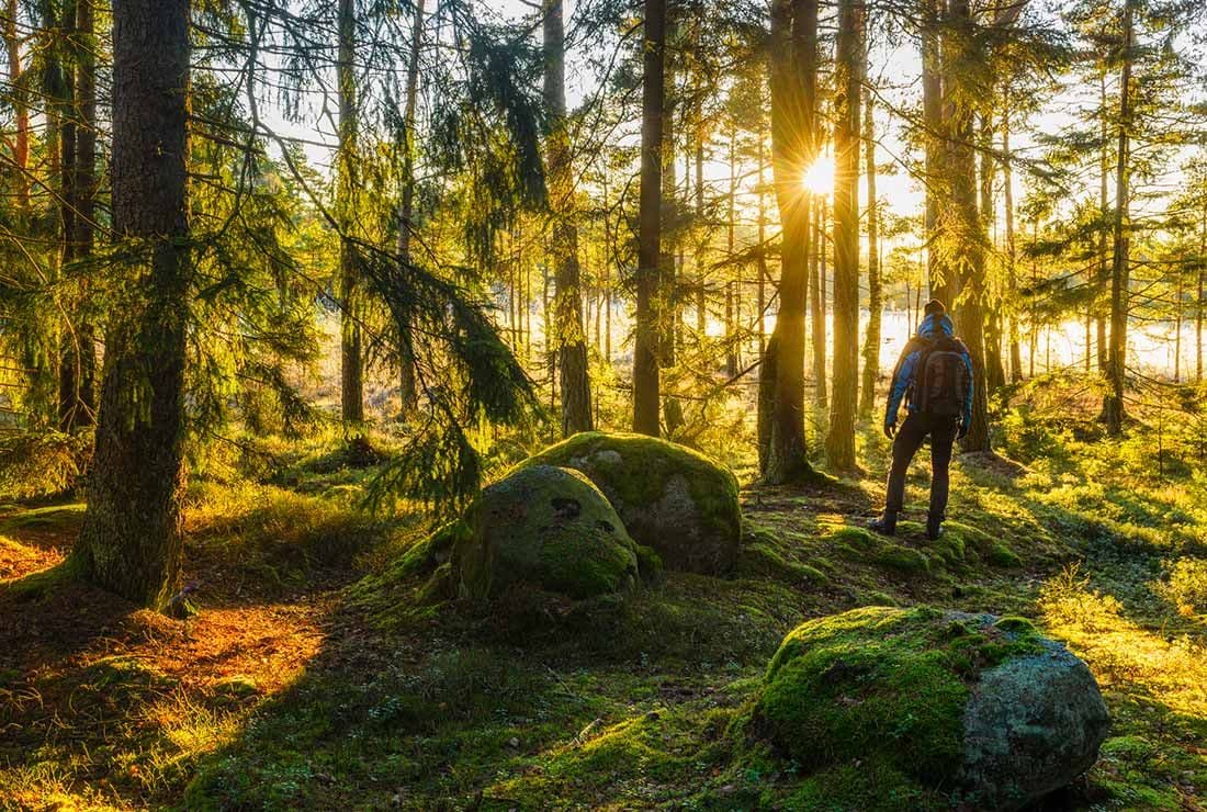 Glömsta – fornstig och historia